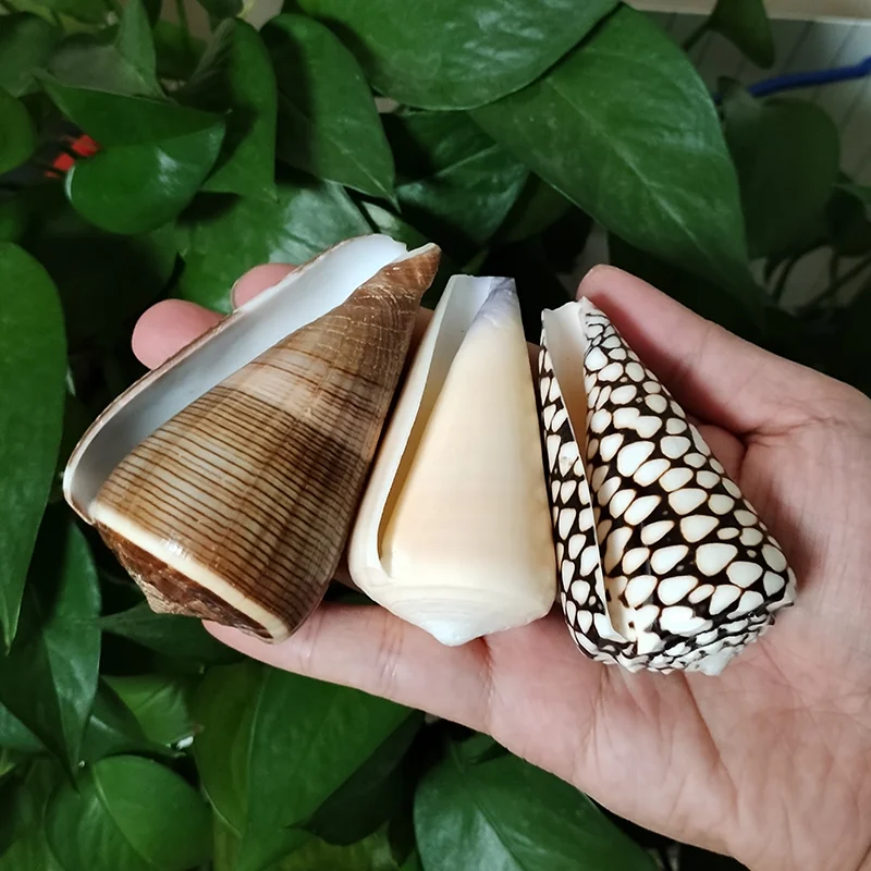 US $18.89