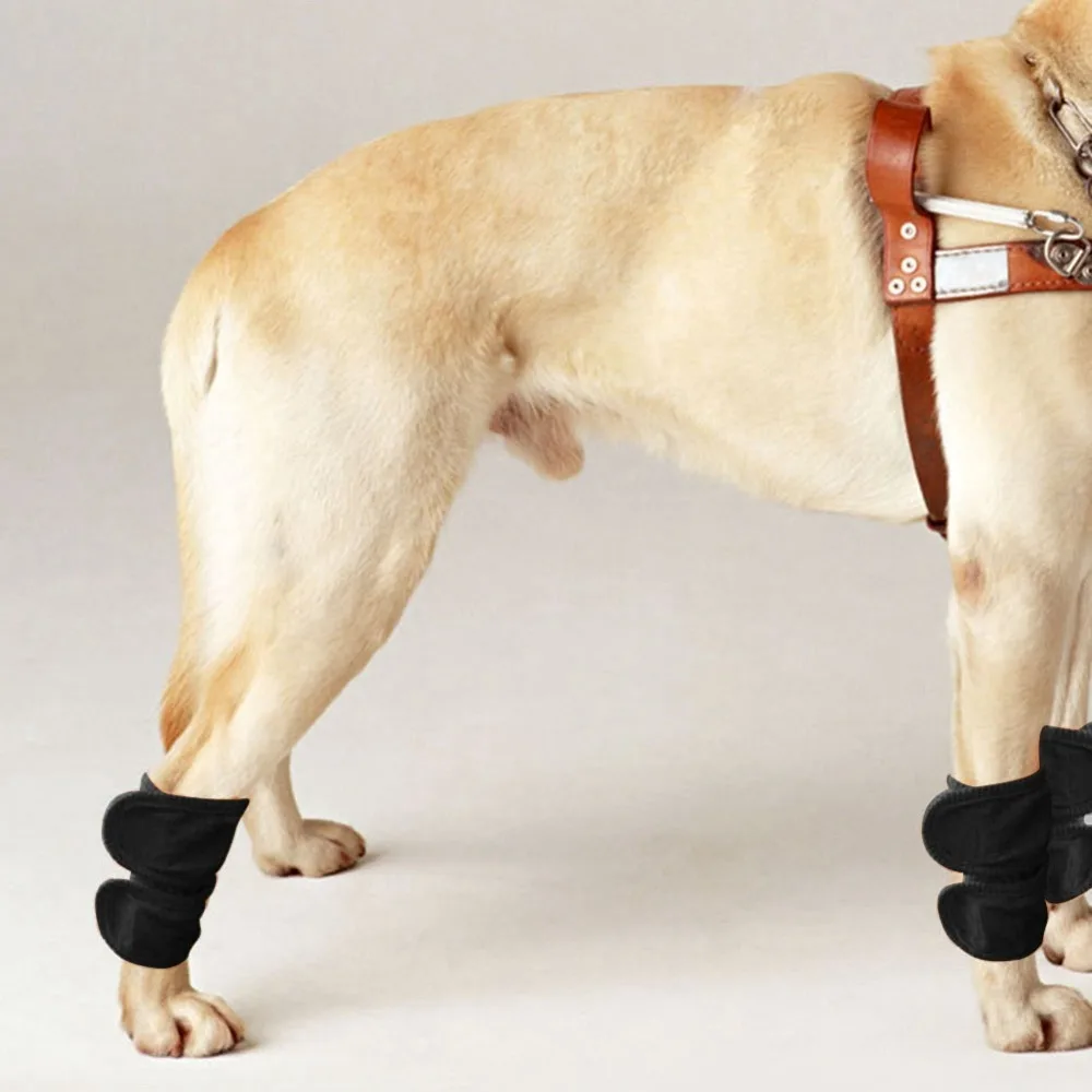 2pcs Soft Lining Pet Knee Brace Stretch Flexible Thermal Warm Keep Joint Recovery Sleeve Adjustable Fit Breathable Fabric