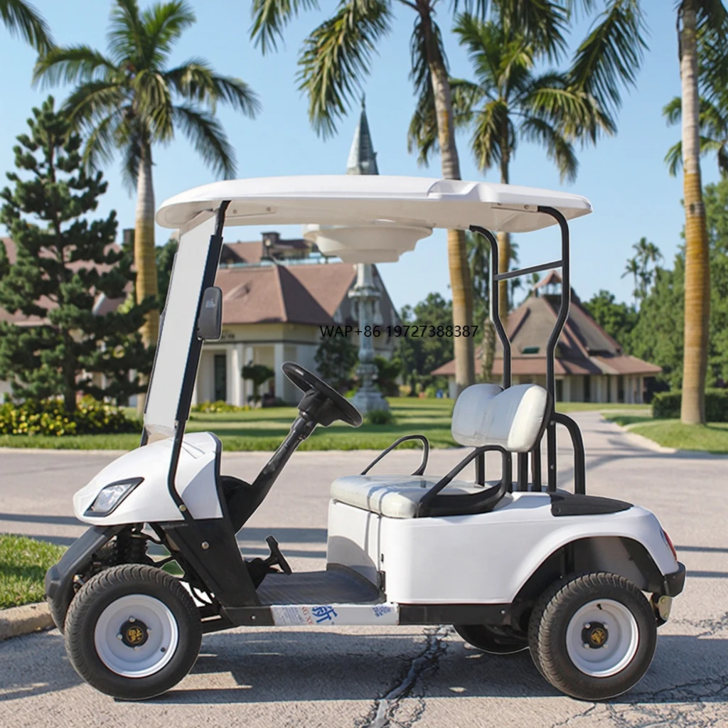High Quality 4-Wheel Electric Mini Golf Cart with 48v Battery Single Seat EEC Certified New Selling Buggy