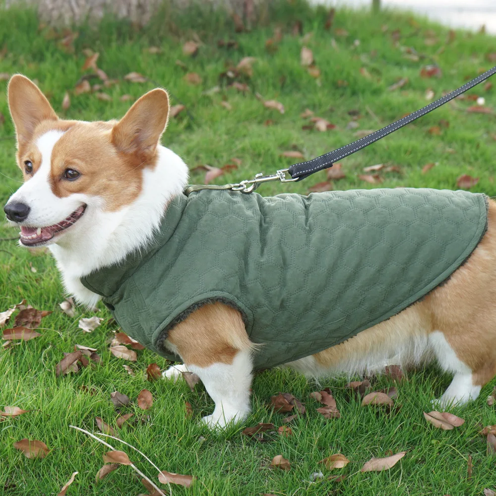 New Pet Cotton Clothes Velvet Autumn and Winter Dog Clothing Small Dog Warm Corgi Clothes Can Be Towed Pet Products