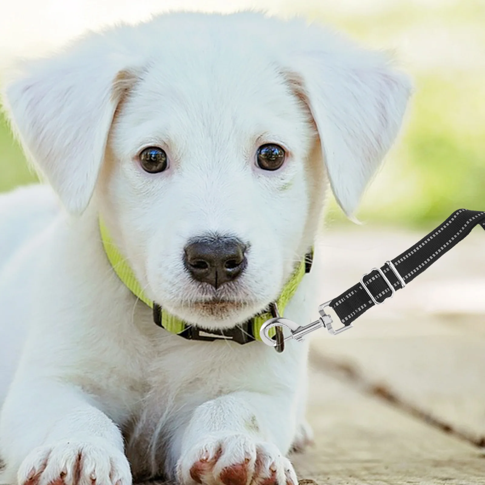 

Dual Dog Leash 1 Inch Wide Nylon Waterproof Washable Heavy Duty For Small Medium Large Dogs Puppy Training Splitter Lead