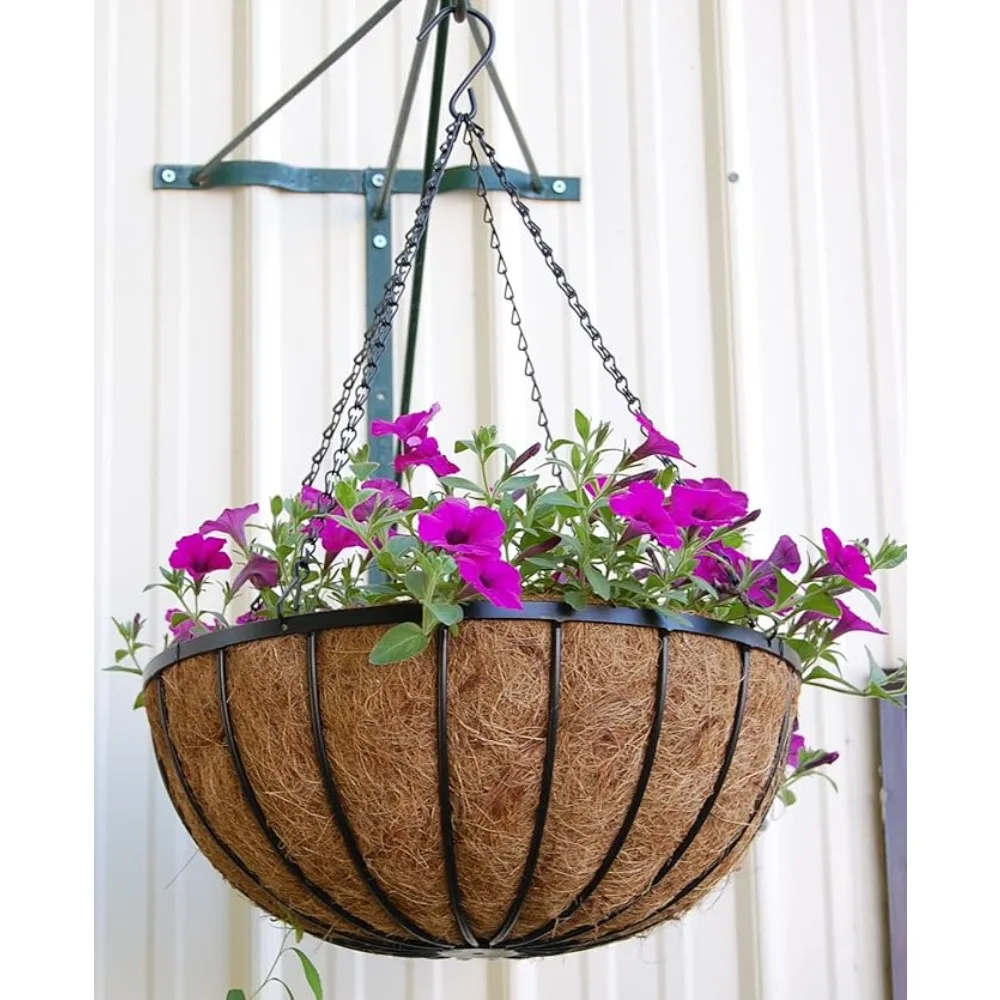 Georgian Style Hanging Planter 24 Inch Diameter 5 Sets Heavy Duty Rigid Welded Frame Basket and Black 5 Strand Chain Hanger