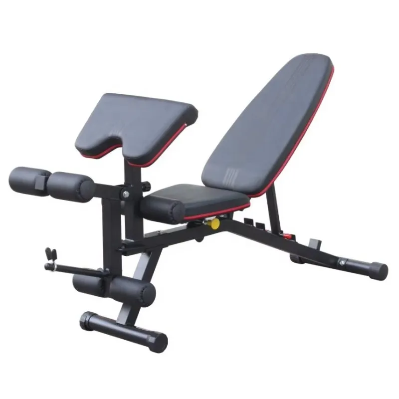 

Adjustable Metal Free Weight Dumbbell Bench Press Multi-Gym Equipment for Indoor Training