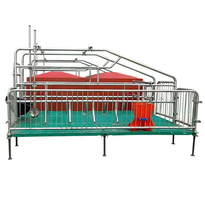 High Durility Pig Cages M of Hot Dip Galvanized Pipe with 1 Year Warranty for Pig Farming & Breeding