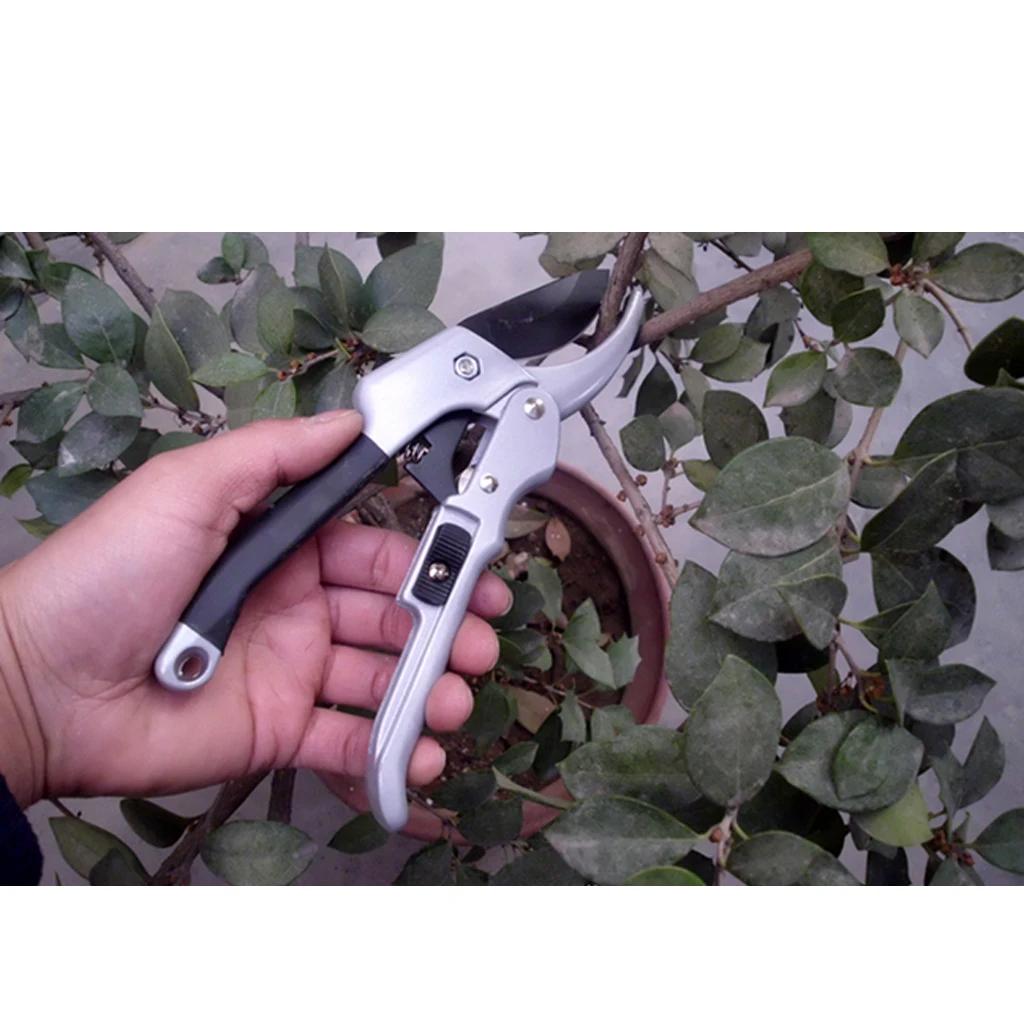 

Pruning Shear Curved for Shaping Flowers Plants Vines Picking Fruit