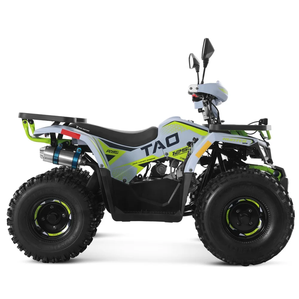 Tao Motor 2024 Off-road Farm Cheap Gas Powered Cuatrimoto Quadricycle Automatic 4 Stroke Engine 110cc 125cc ATV for Kids