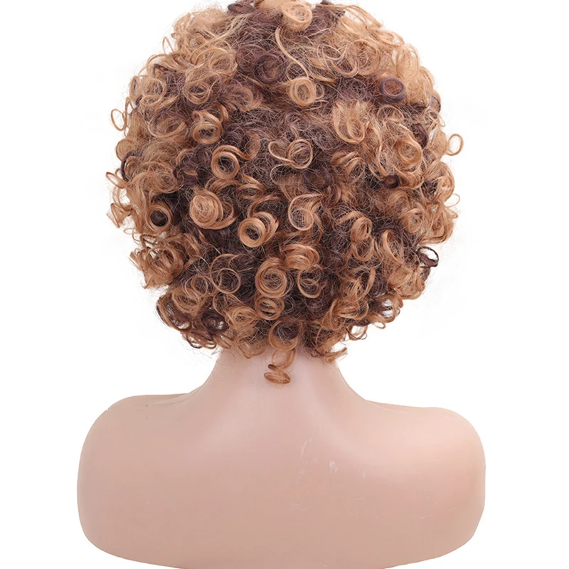8インチのブラウンのアフリカのカーリー合成ウィッグは黒人女性に適しています。 ふわふわ、ナチュラル、耐熱性があり、日常使いに最適です。