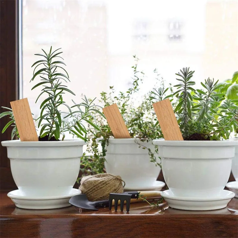 30Pcs Bamboo Plant Labels 15x2cm Plant Markers Labels Set Handwritten Tags for Seed Vegetables Flowers Herbs Garden Supplies