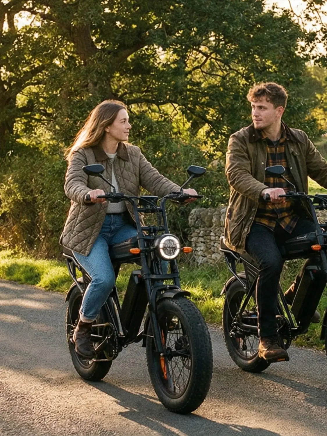 AliExpress NONE Electric Bike 250W Peak Power Brushless Motor 48V15AH Lithium Battery Retro Bicycle Adult with Long Seat 20" Fat Tire Ebike