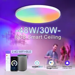 Plafoniere moderne intelligenti 220V 30W 48W RGB CCT Smart Home luci a Led WIFI APP controllo vocale con Alexa Google scarn