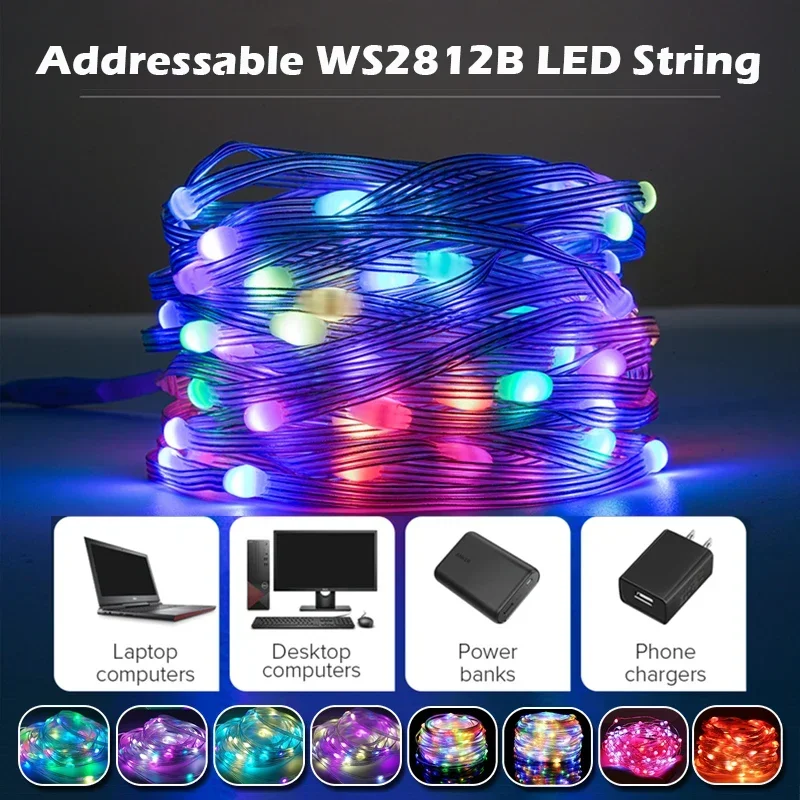 20M TUYA Led Fairy String Lights Music Sync 200LED WS2812B Copper Wire String Lights RGBIC Color Changing Segment Control Lights