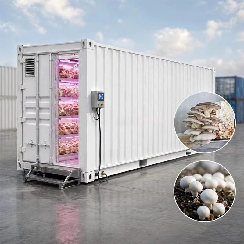 Mushroom Cultivation Container Farm for Oyster Mushroom Growing with IOT Control System for Commercial Production Custom
