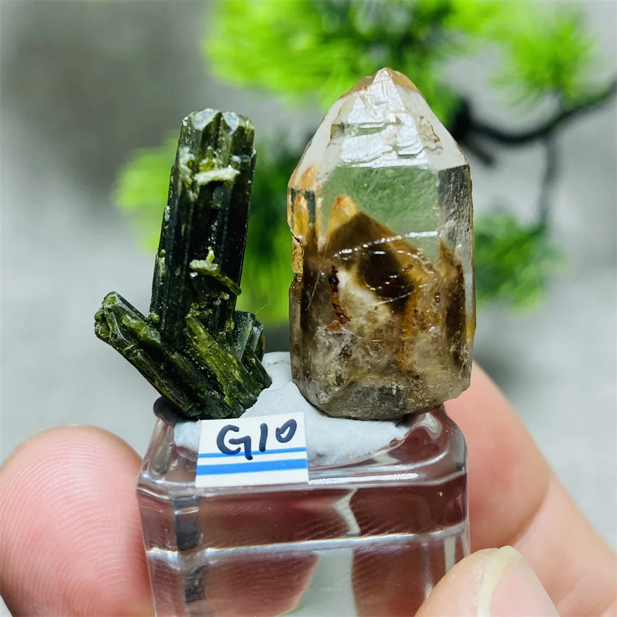 2Pcs Natural Epidote Quartz Mineral Specimen Energy Stone Crystal Healing Home Decoration Reiki Healing