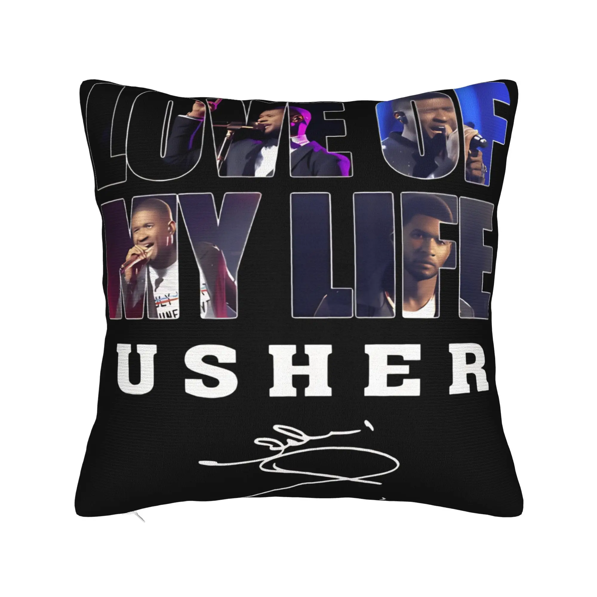 Chris Brown And Usher The Rb Tour Pillow Cover  Raymond And Brown Soft Cushion Cute Funny Pillow Case For Living Room Bed Chair