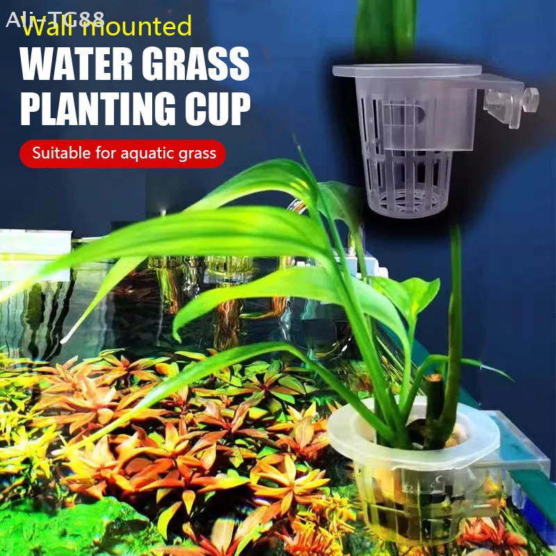 Supporto per Piante Acquatiche - Emersed Plants Aquarium recensione e prezzo