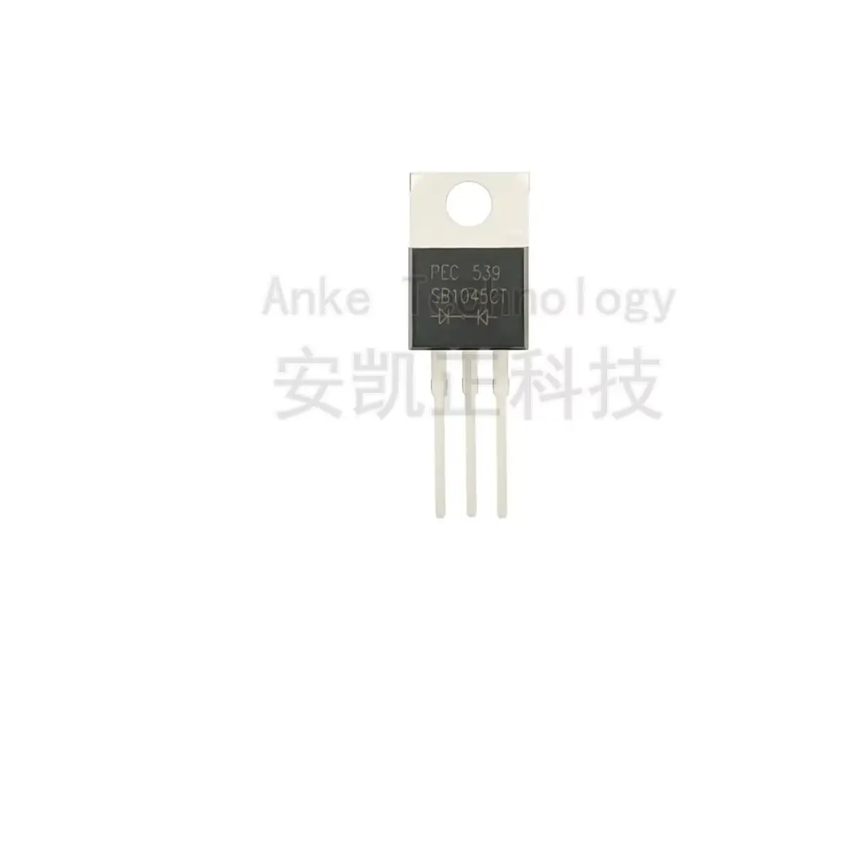 Original Authentic SB1045CT Through-hole TO-220 10A/45V Schottky Diode 10PCS
