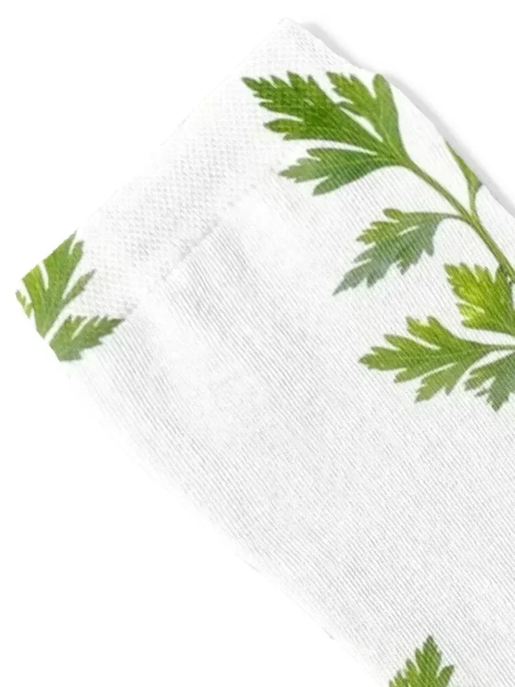 Backlit parsley Socks fashionable Toe sports Stockings men cotton high quality Woman Socks Men's