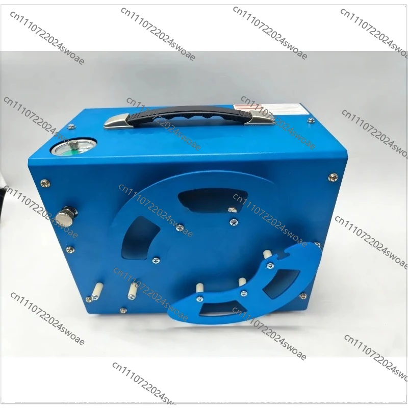 12V 110V 220V Automatic Stop 4500psi 30Mpa 300bar Pump Built-in Power Adapter Paintball Gun, Air Compressor