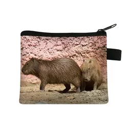 Capybara-monedero con forma de Animal para hombre y mujer, monedero pequeño con forma de Animal, tarjetero, soporte para auriculares