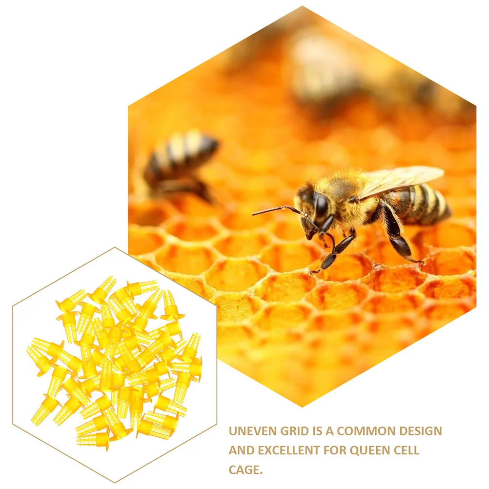 

50Pcs Bee Breeding Cage Rearing Cups Safe Bee Keeping Equipment Incubation Bases Professional Beekeeping Tools