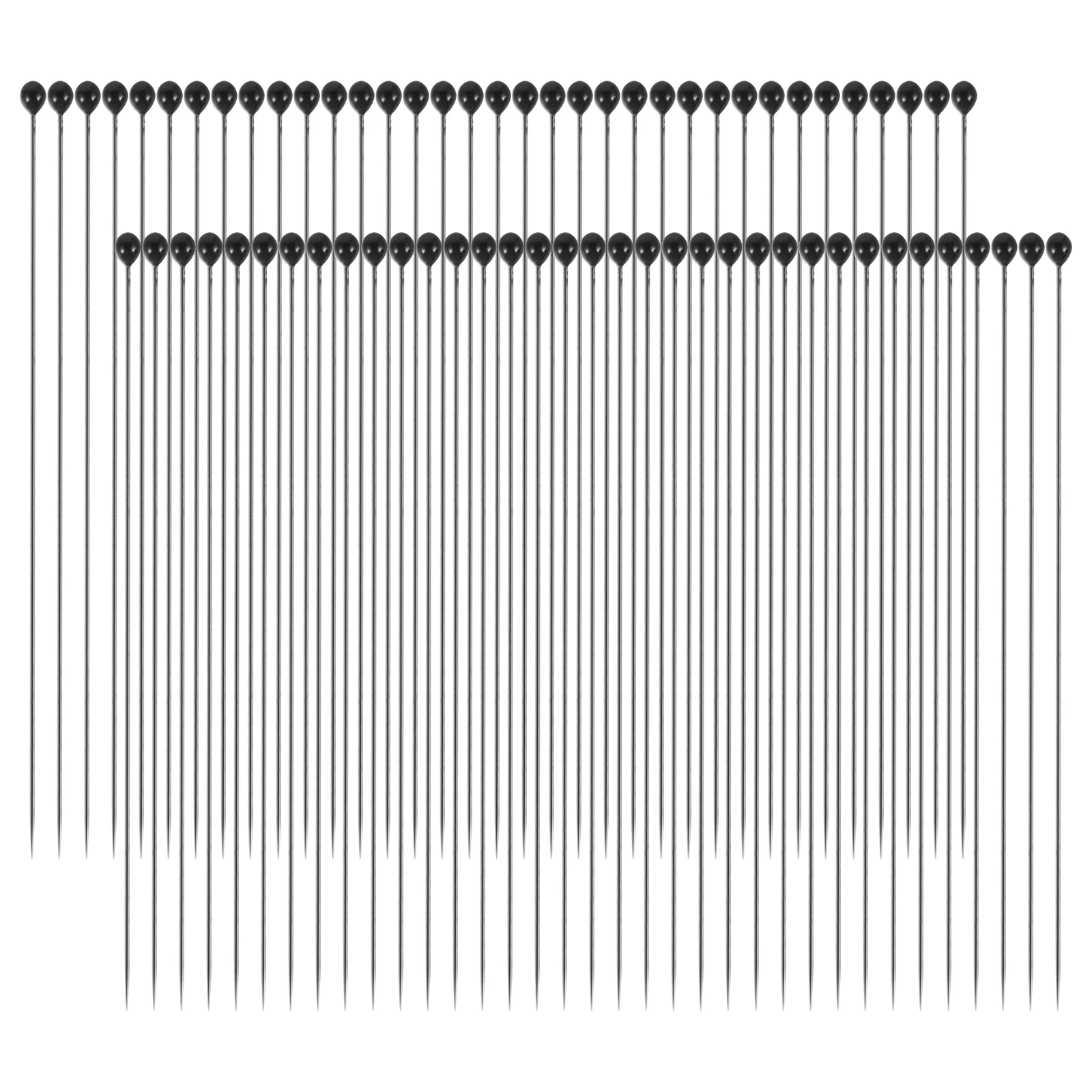

100 pcs Insect Stainless Steel Entomology Insect Specimen Pin Science Education Pin For Entomology Tools Parts
