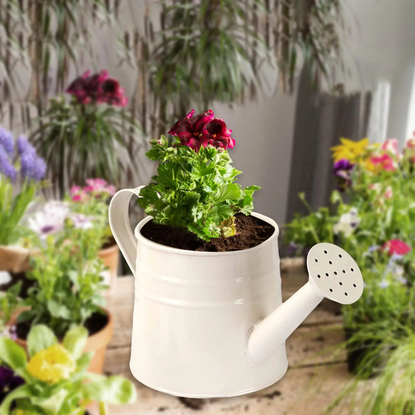Mini maceta de hierro, regadera, maceta de metal, cubo de hojalata, contenedor de flores retro para interior y exterior, para exhibición en cocina y baño