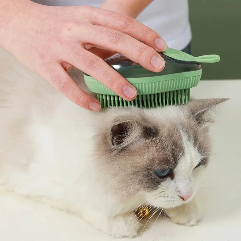 Comment laver un chat : conseils pour un pelage brillant