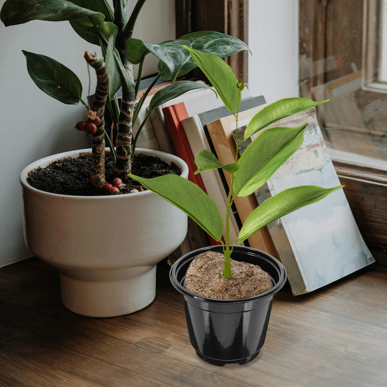 

20Pcs Transparent Plastic Nursery Pot Small Durable Grow Planter Ideal for Succulents Flower Transplanting Gardening Plant