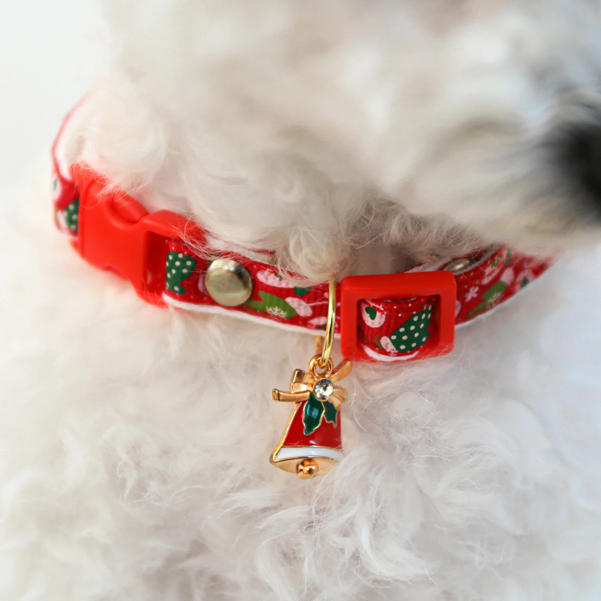 yZ[zT^Xq`[t̂j̃NX}Xybgp - ƔLp̒߉\ȐԂ|GXelbNXAzf[e[}̃fUC