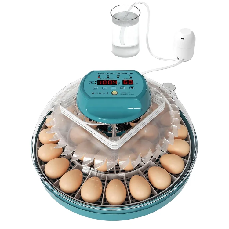 Small Household Fully Automatic Mini Egg Incubator Dual Power New Condition Intelligent Incubator for Chicken Made Plastic PP