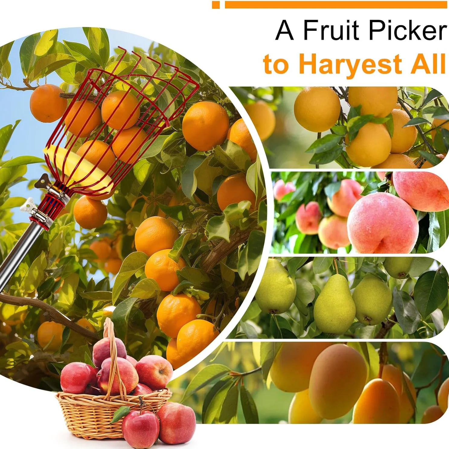 Käfigförmiger Obstpflücker aus Edelstahl, verstellbarer Obstpflückerstab 1,6m-4m, Pflückwerkzeug für Äpfel, Orangen, Avocados – Detail 2