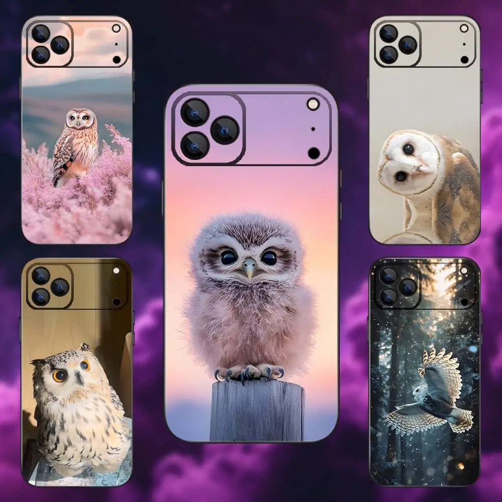 Pet Cute Owl Phone …