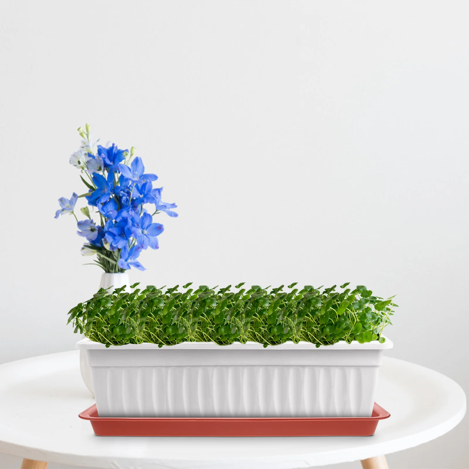 

8pcs Plant Saucer Tray Plastic Reusable Durable Flower Pot Tray For Indoor Plants Bonsai Drainage Catcher Water Resistant