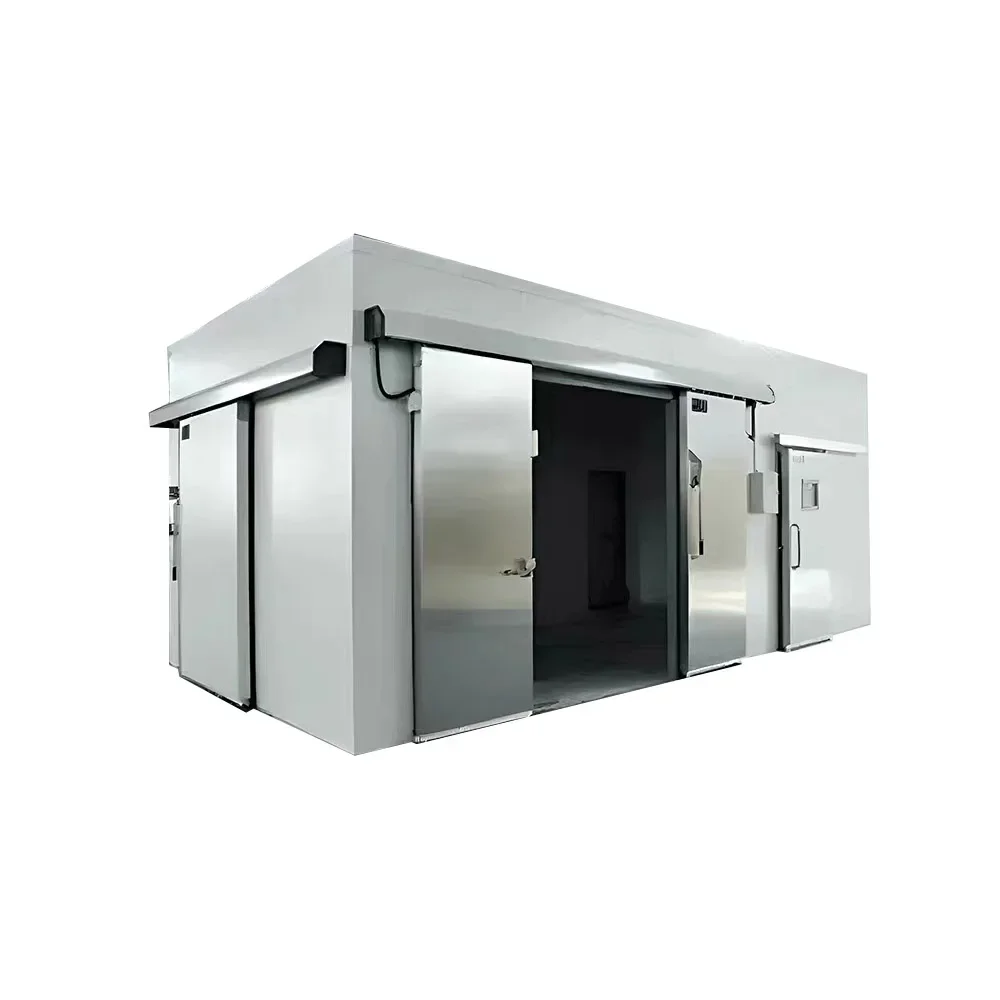 Low Noise Low Temperature Small Cold Room Refrigeration unit Cold Storage Room  for Fish Manufacturers