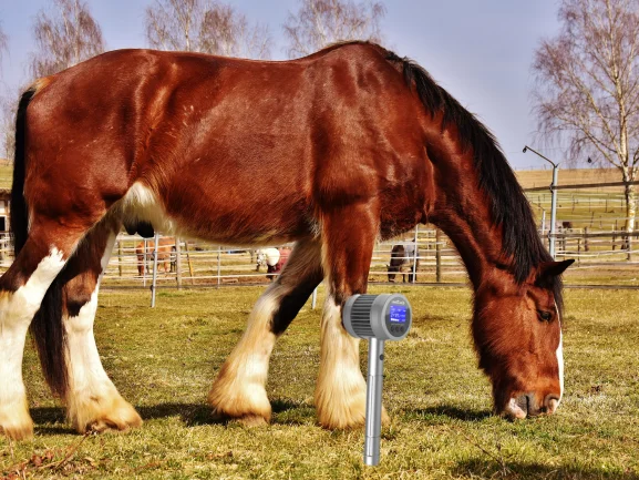 

3-ступенчатый лазер для облегчения боли COZING-T05: передовые технологии растворения напряжения плеч, нервного дискомфорта и раствора для ухода за домашними животными