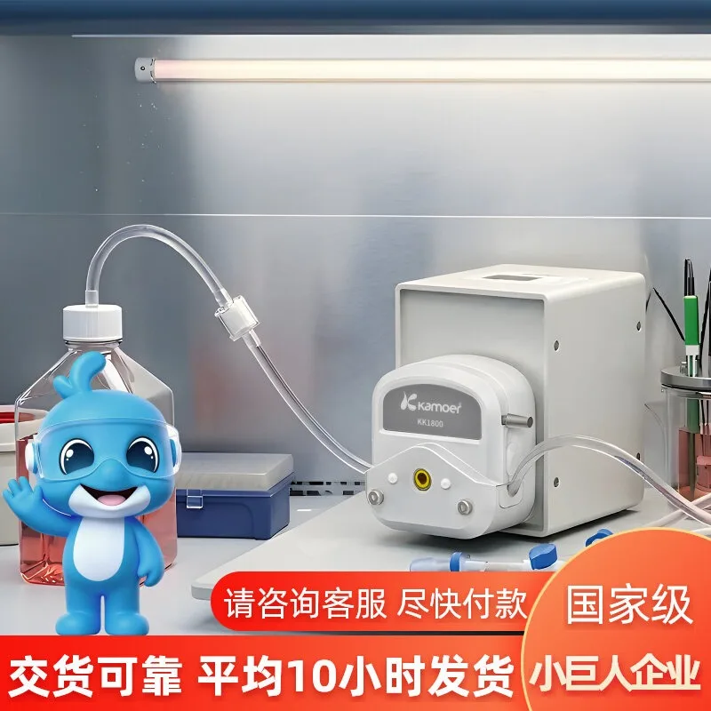 BT100 Peristaltic Small Laboratory Quantitative Distribution Pump, Metering Small Injection Pump Precision Constant Flow Pump