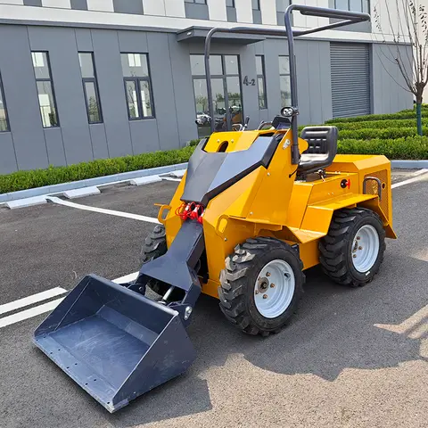 Minipala compatta personalizzata di vendita calda Mini caricatore anteriore Terna caricatore per trattore log con componenti principali-cuscinetto motore motore