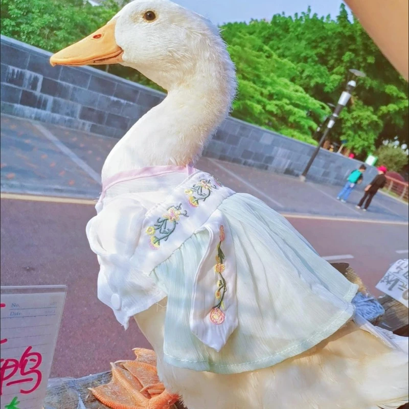 Original Pet Hanfu Thin Summer Clothes, Chinese Ancient Style Traditional Costume for Small Dogs Teddy Cat Pet Outfit