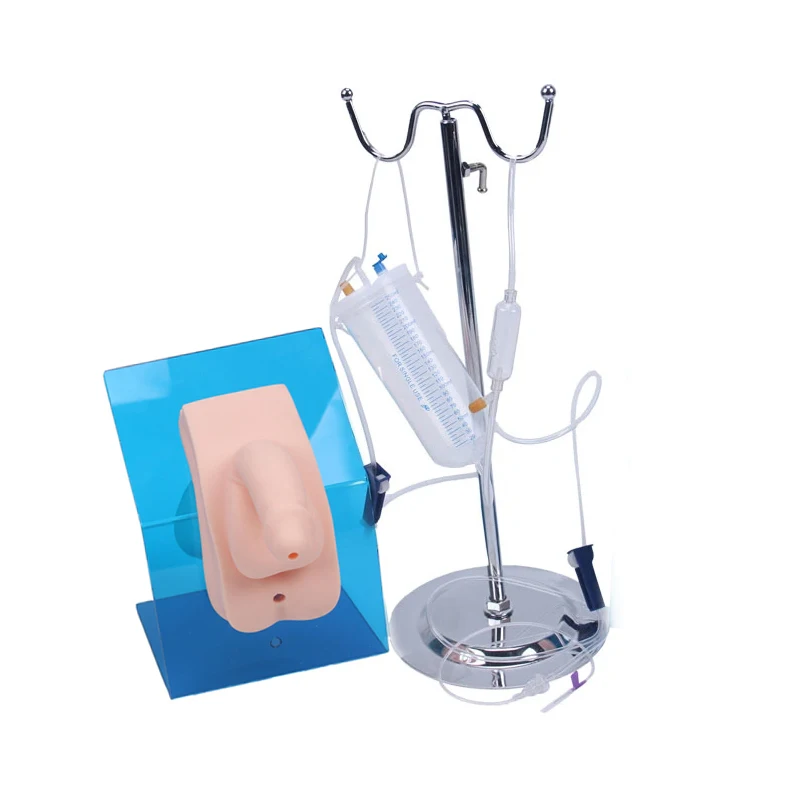 Male / female medical catheter model, Medical catheter operation model for training and training