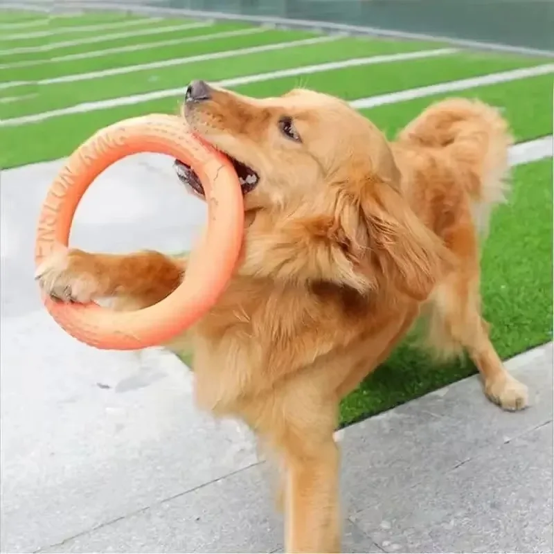 

Floating Water Dog Toys Pet Flying Disk Training Ring Interactive Toy Puller Resistant Aggressive Chewing for Small Medium Dogs