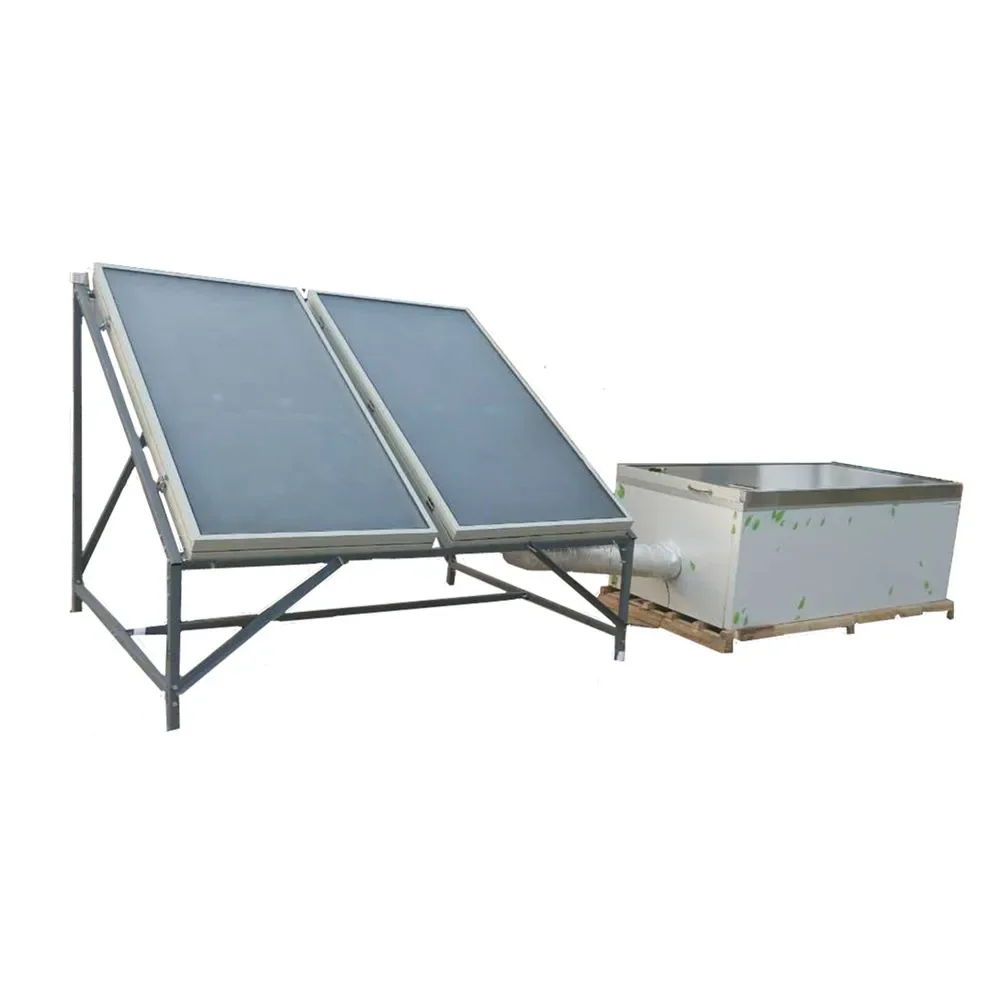 Multifunction Solar Dryer Vegetable Fish Plant Seed Drying Machine