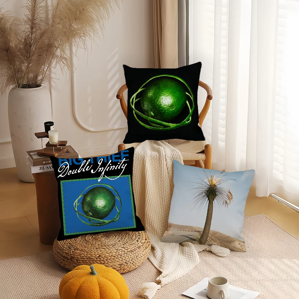 

Band B-Big T-Thief Double Infinity Pillow Case Home Decoration Cushion Cover Suitable For Office Sofa Bedroom Car