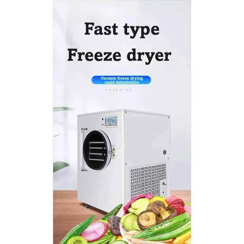 Compact 220V Vacuum Freeze Dryer For Home Laboratory Small Scale Fruit Vegetable Meat Pet Food Drying Machine
