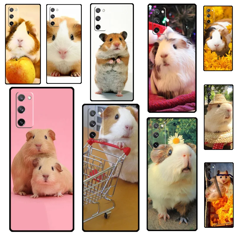 squirrel Guinea Pig Mouse Phone Case For Samsung Galaxy S25 Ultra S9 S10 S20 S20 S21 S22 S23 Plus S24 FE Back Cover