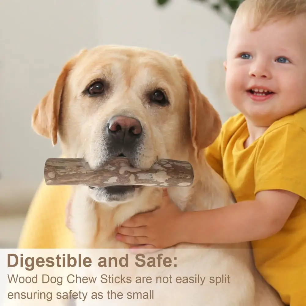 Natural Dog Treats Natural Wooden Dog Chew Sticks for Dental Health Care Stress Relief 100 Wood Chews for Dogs Teeth for Dogs