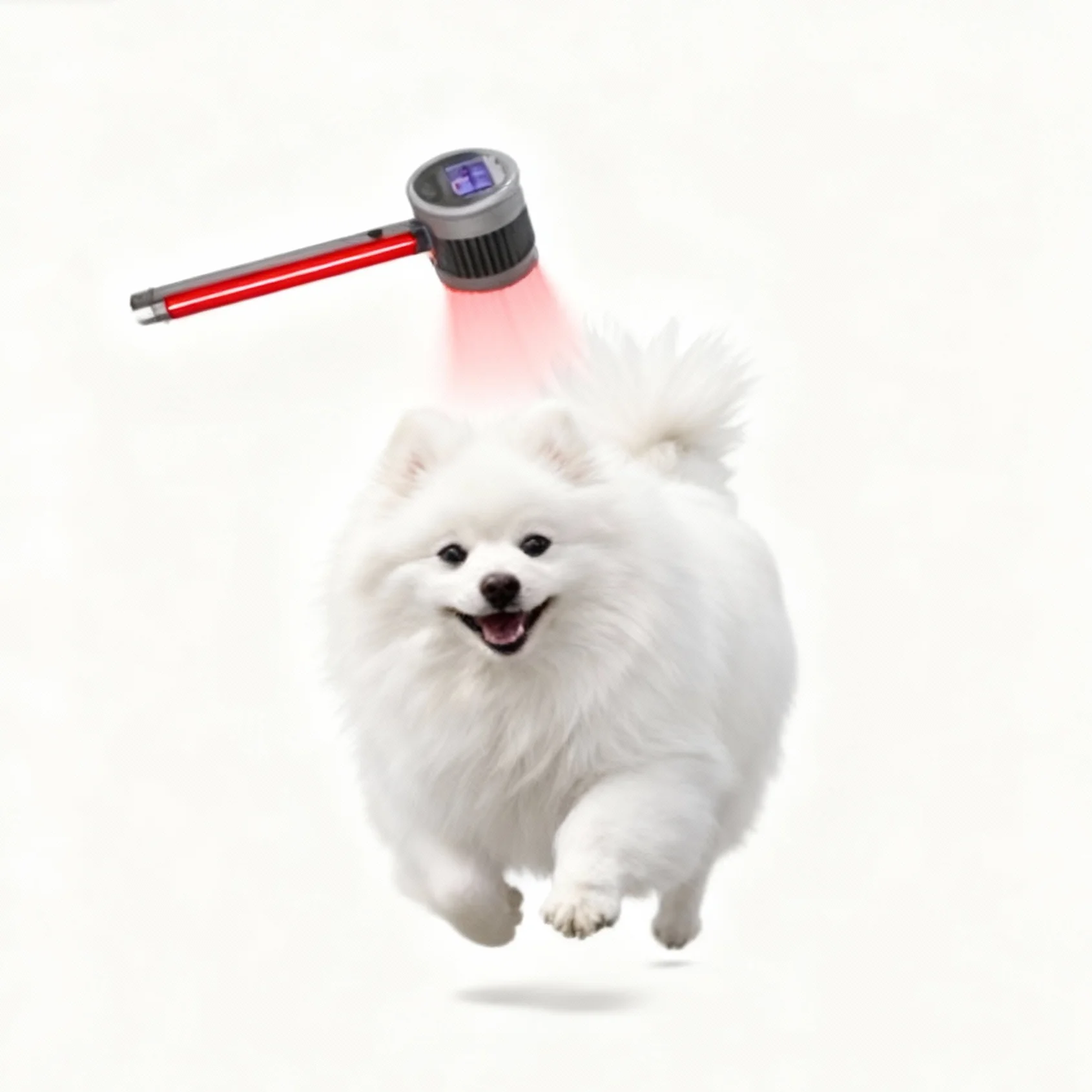 

Chronic Arthritis & Nerve Injury Laser for Pets, Long-Term Pain Management at Home