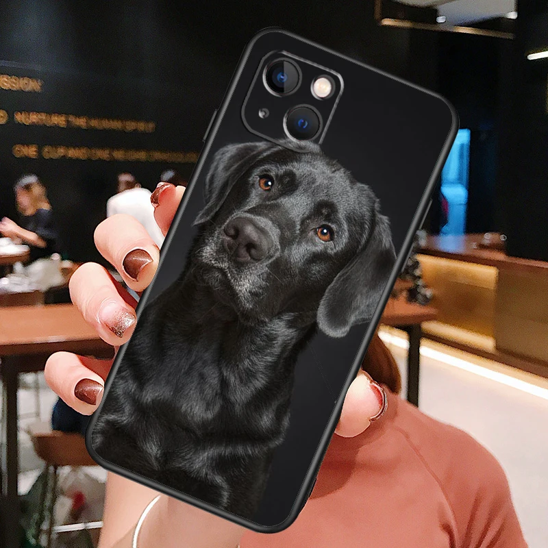 Labrador Puppy Dog Phone Case For iPhone XR X XS Max 11 12 13 14 15 Pro Max 7 8 Plus SE 2020 2022 Back Cover