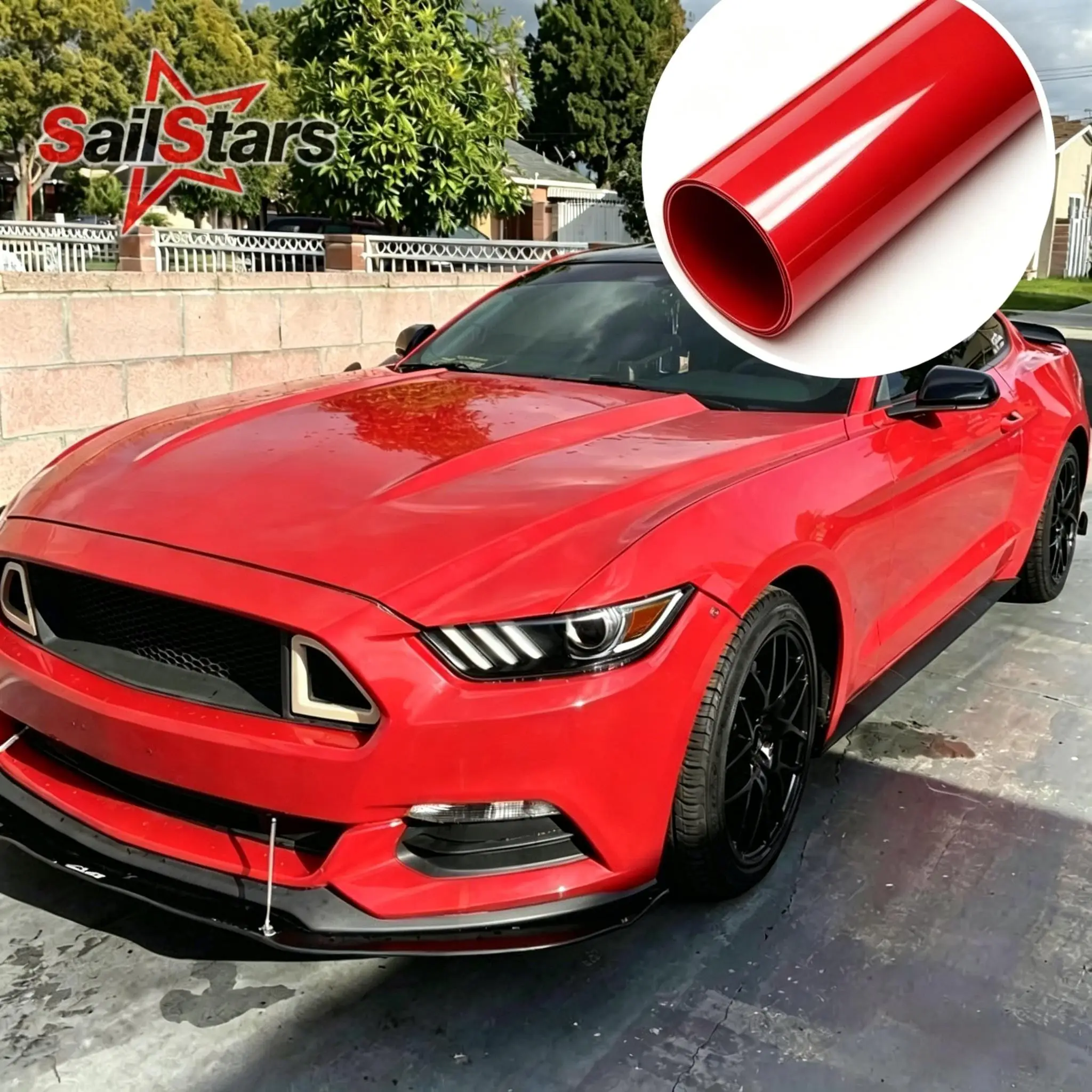 #31 Compare Car Body Films Before You Buy