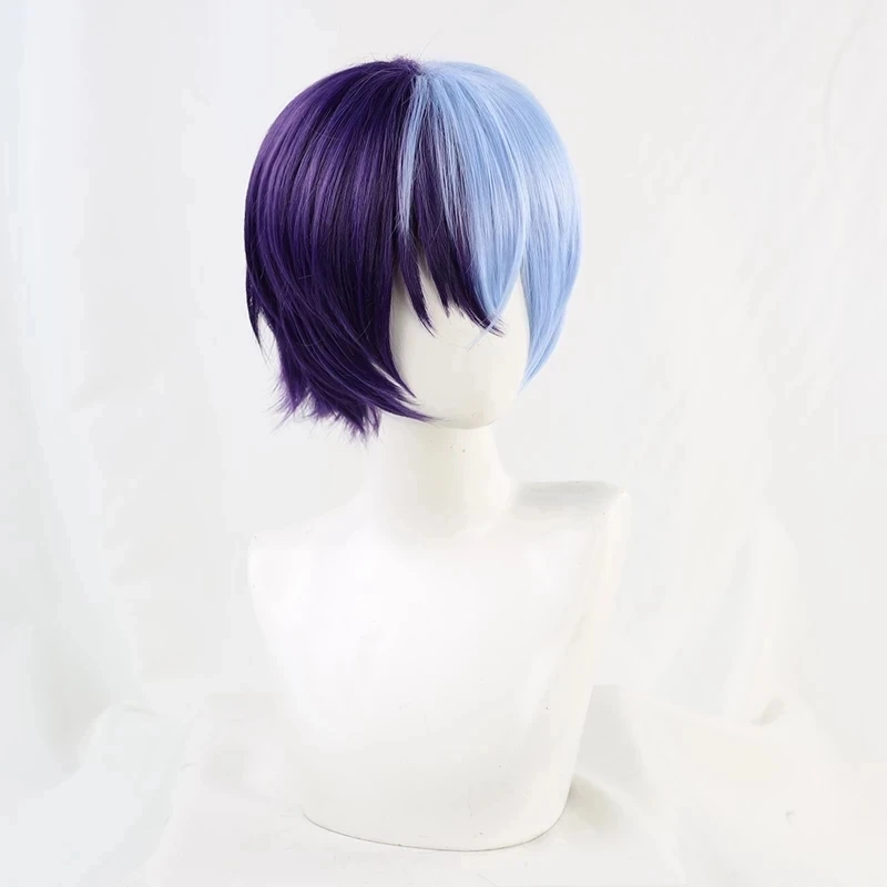 Anime Aoyagi Toya Cosplay Wig Project SEKAI COLORFUL STAGE! Heat Resistant Hair Synthetic Wigs