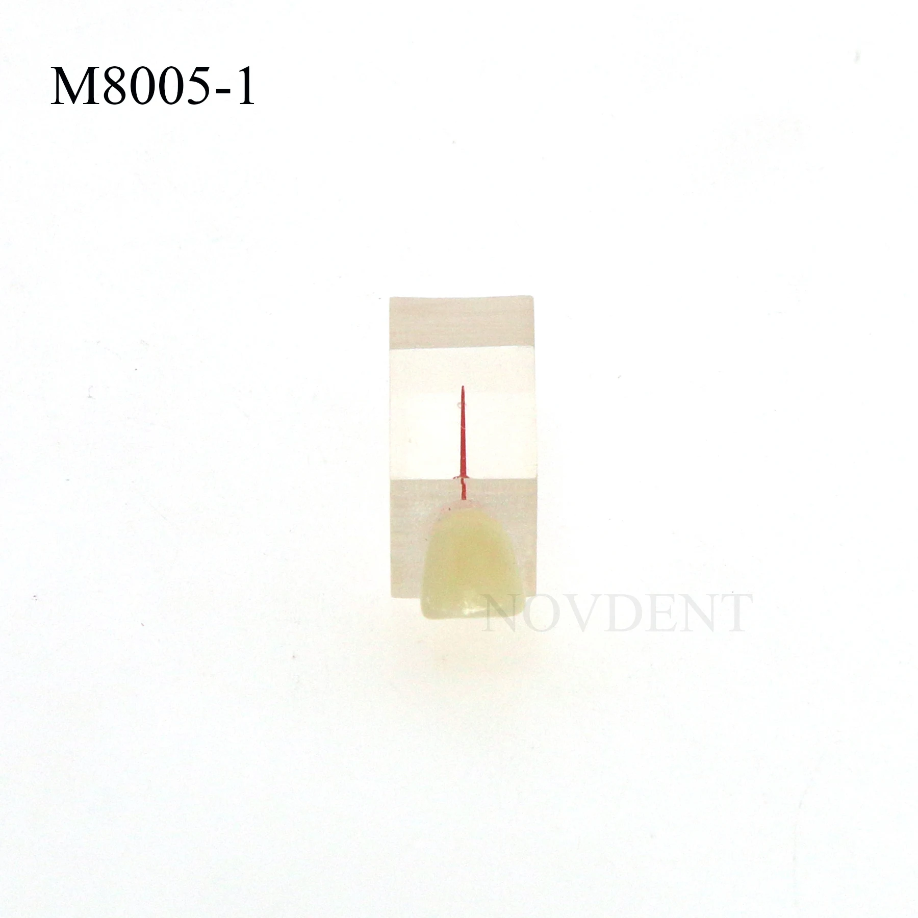 

Dental Crown Root Canal Exercise Block Dental Research M8005-1 Practice Pulp File